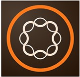 AEM Logo